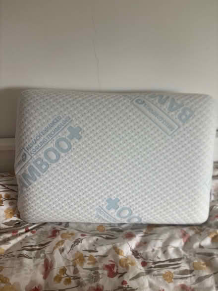 Photo of free Sofa pillows, bamboo memory foam pillow, double blanket (Brentford TW8) #3