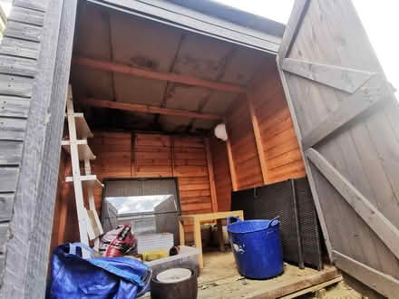 Photo of free Garden shed (Stevenage SG1) #3