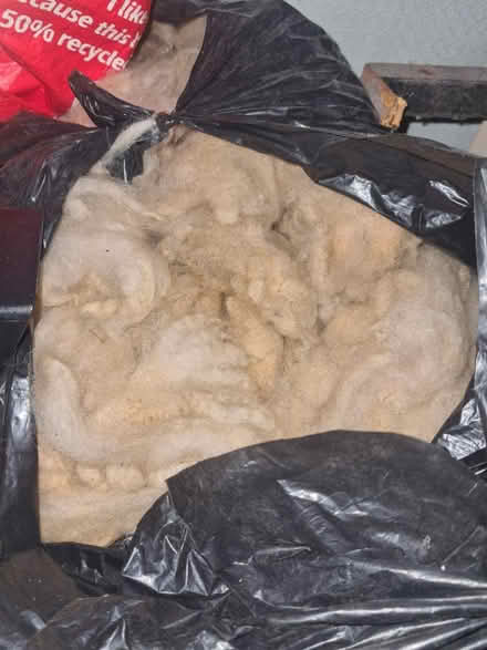 Photo of free Raw sheep's wool (Rochester, ME1) #1