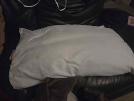 Photo of free 1 old pillow (Frimley) #1