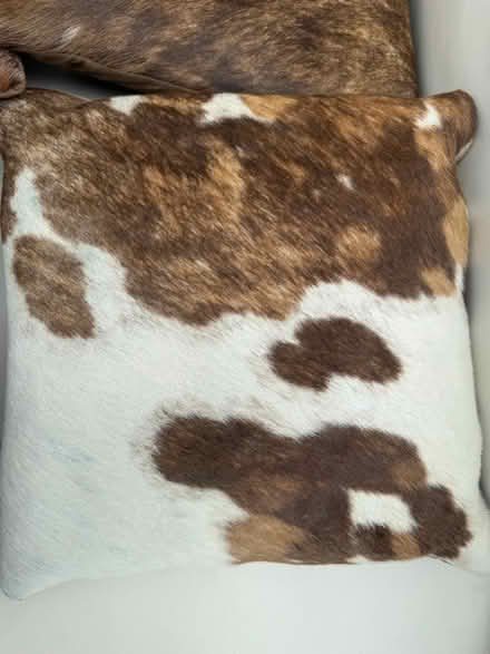 Photo of free 4 cow hide cushions. (Hunton Bridge WD4) #4