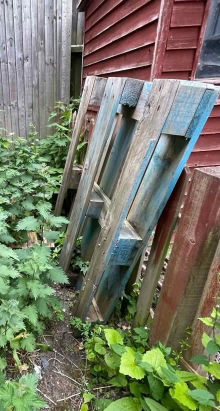 Photo of free Wooden Pallet x2 (BR6) #3