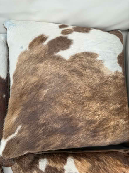 Photo of free 4 cow hide cushions. (Hunton Bridge WD4) #2