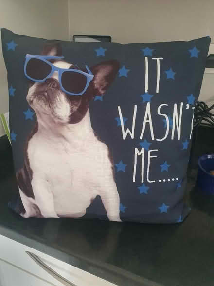 Photo of free Cushion (Elstow MK42) #1