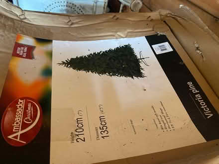 Photo of free Large Christmas Tree (ME139 bh) #1