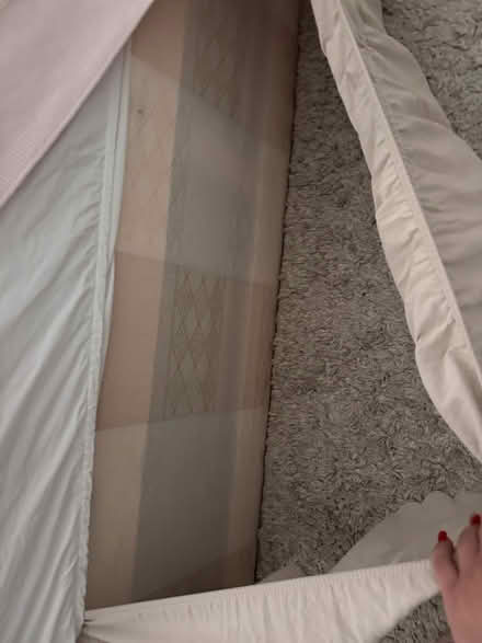 Photo of free Single divan bed with matras (NW2 2LB) #2