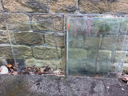 Photo of free Glass For Greenhouse/Coldframe/Shed (BD18) #1