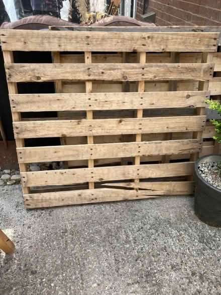 Photo of free 3x pallets (Drighlington) #2