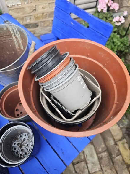 Photo of free Joblot plant pots (SW8) #2