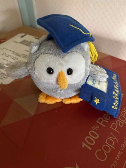 Photo of free Congrats for grads stuffed owl (Croton-on-Hudson) #1