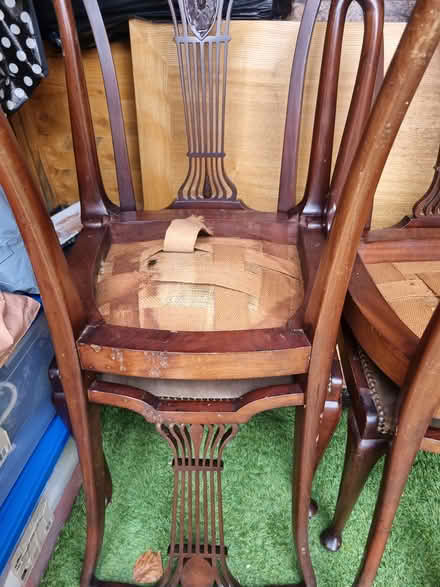 Photo of free Chairs (Maidstone ME15) #2