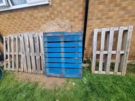 Photo of free Pallets (Beeston Rylands NG9) #1