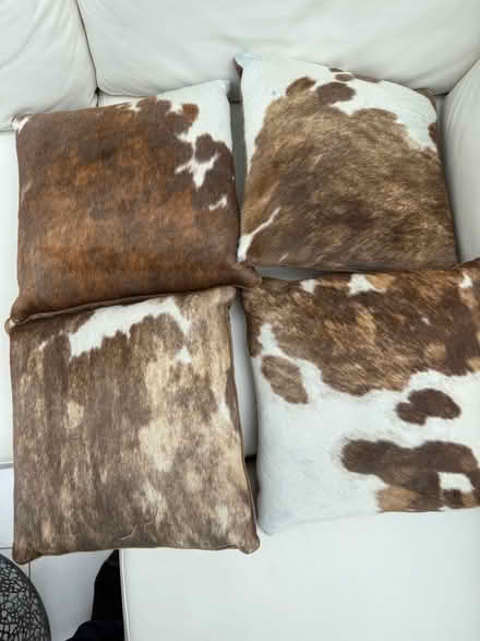 Photo of free 4 cow hide cushions. (Hunton Bridge WD4) #1