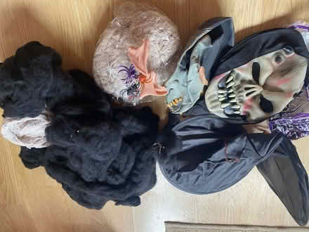 Photo of free Hallowing items (Shaw SN5) #1