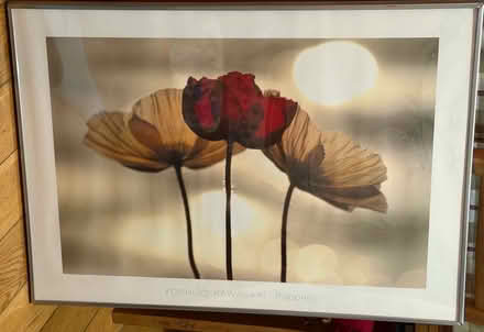 Photo of free Framed picture (CR0) #1