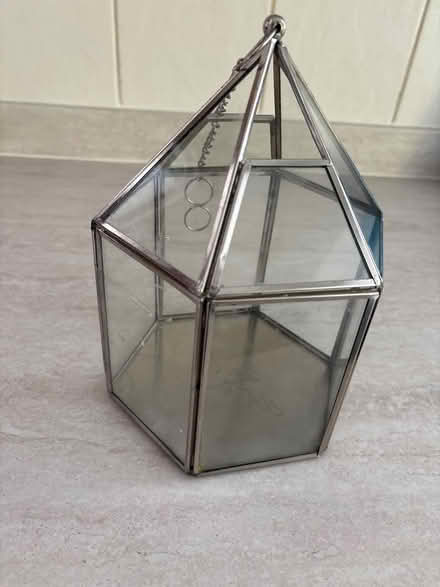 Photo of free Small terrarium (Shirley B90) #2