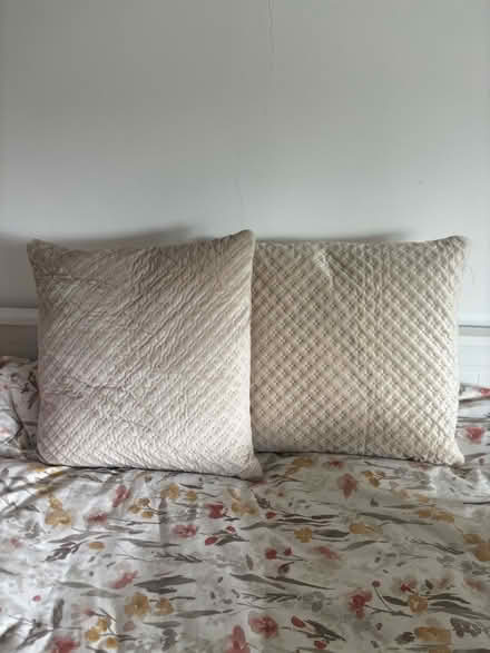 Photo of free Sofa pillows, bamboo memory foam pillow, double blanket (Brentford TW8) #2