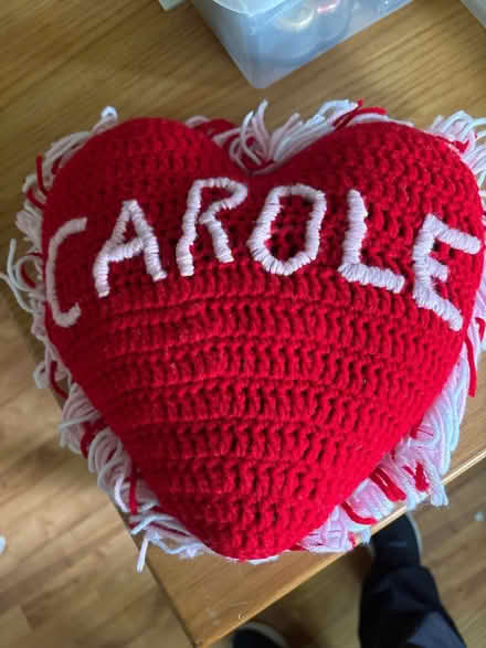 Photo of free “Carole” pillow (Croton-on-Hudson) #1