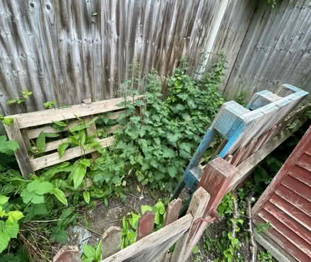 Photo of free Wooden Pallet x2 (BR6) #1