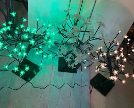 Photo of free 3 tree lights (Swindon SN5) #1