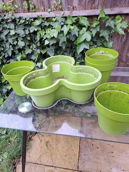 Photo of free Set of plastic planters (Se14 5rq) #1