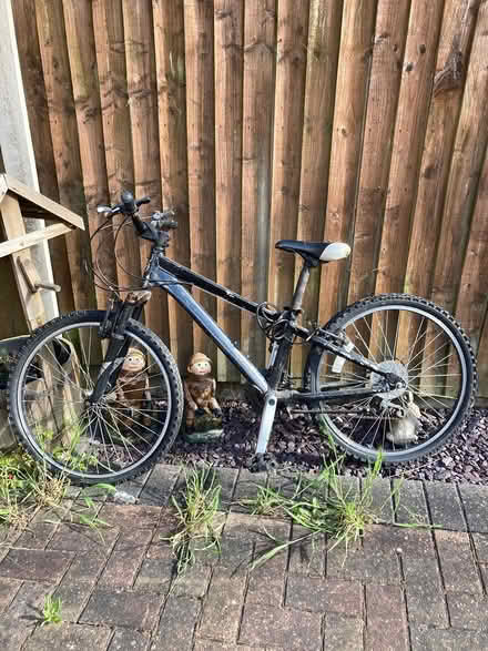 Photo of free Old bike (Ng5 Bestwood NG5) #1