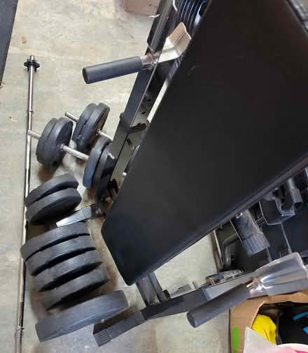 Photo of free Free weights and bench (Oxted) #1