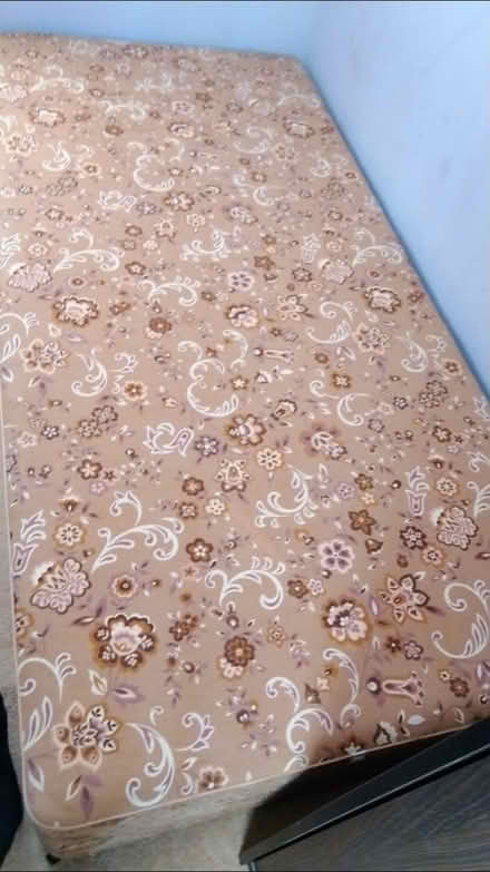 Photo of free Single divan bed (Whitnash CV31) #2