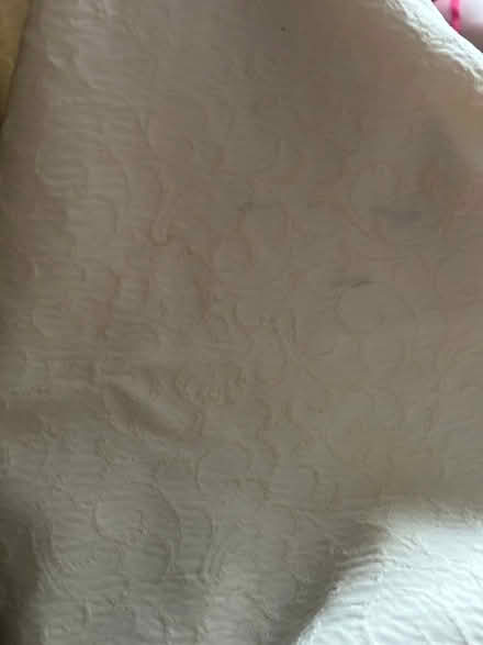 Photo of free Cream cushions covers (Funtley PO17) #2