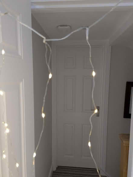 Photo of free Led fairy lights (Kempshott RG22) #2