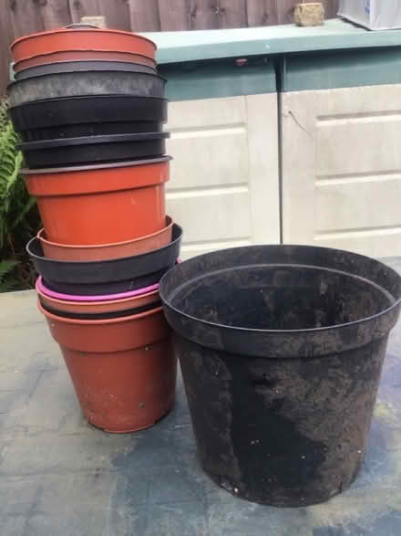Photo of free Selection of plastic plant pots (Riverdene RG21) #1