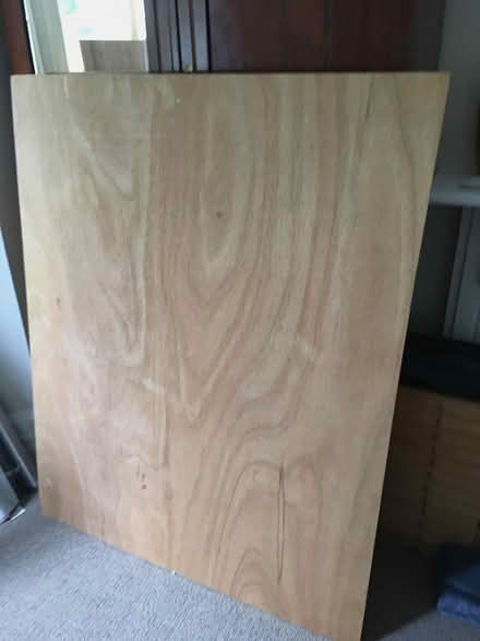 Photo of free Plywood: large sheet (Central Crouch End N8) #1