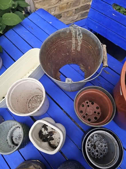 Photo of free Joblot plant pots (SW8) #3