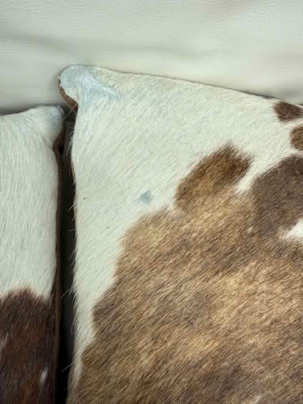 Photo of free 4 cow hide cushions. (Hunton Bridge WD4) #3