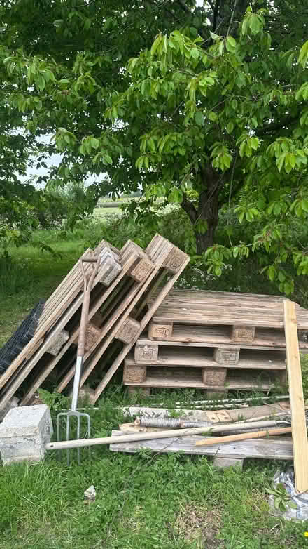 Photo of free Several EUROPALS (Ardington OX12) #1
