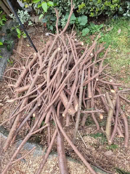 Photo of free Fire wood collect from ME5 8PZ (Lords Wood ME5) #2