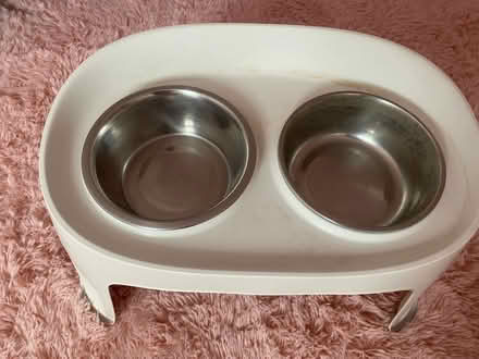Photo of free Raised dog bowls (Bromley BR2 9.) #2