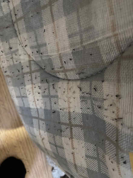 Photo of free Single sprung mattress (SY1) #2