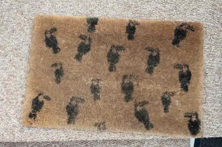 Photo of free Two doormats (Chingford Mount, E4) #1