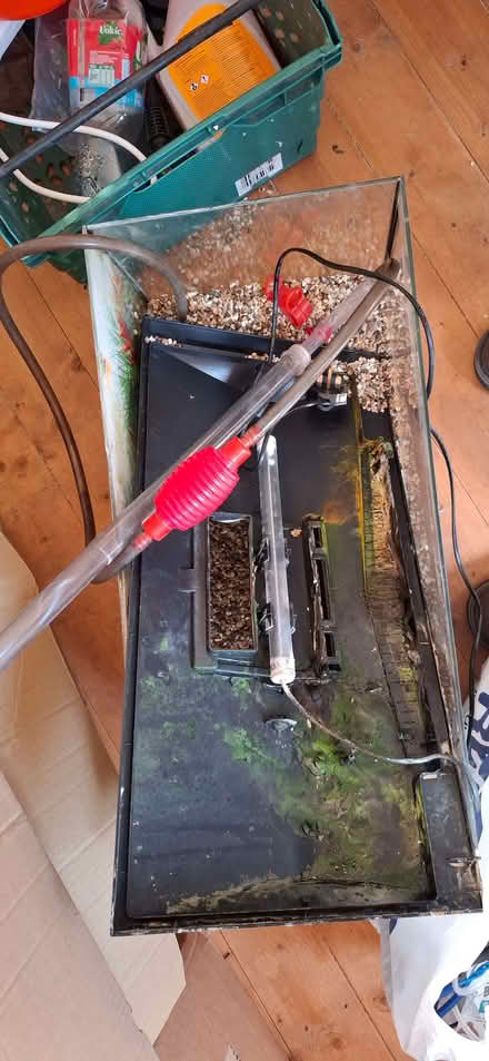 Photo of free Fish tank (Morecambe LA4) #3