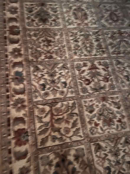 Photo of free Gorgeous area rug (streetsville) #1