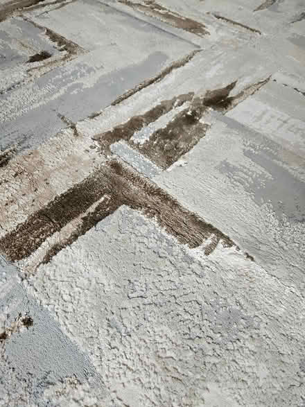 Photo of free Large rug (Bedford Rd area SG6) #2