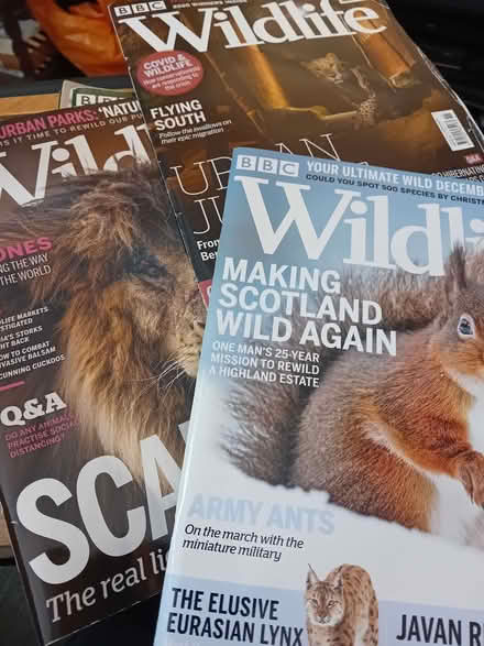 Photo of free 12 x Wildlife magazines (Leeds LS2) #3