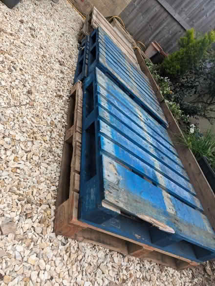Photo of free Seven pallets (Oldfield Park) #1