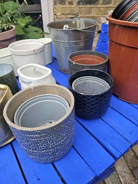 Photo of free Joblot plant pots (SW8) #4