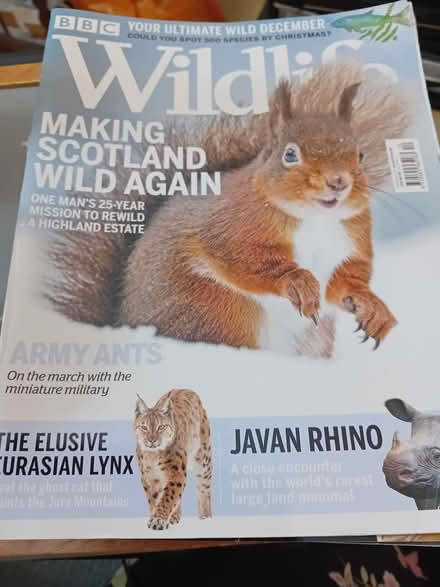 Photo of free 12 x Wildlife magazines (Leeds LS2) #1