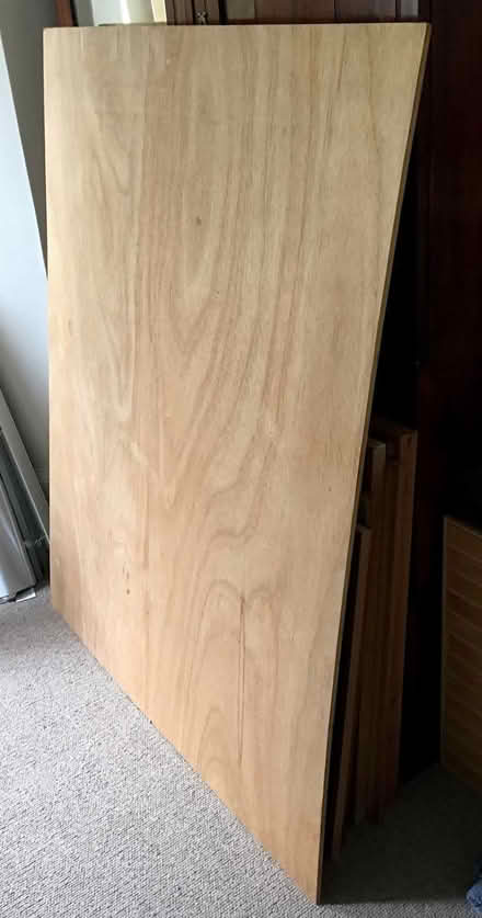 Photo of free Plywood: large sheet (Central Crouch End N8) #2