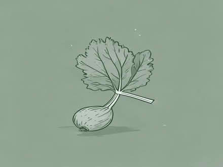 Photo of Rhubarb (Wadsley Bridge S5) #1