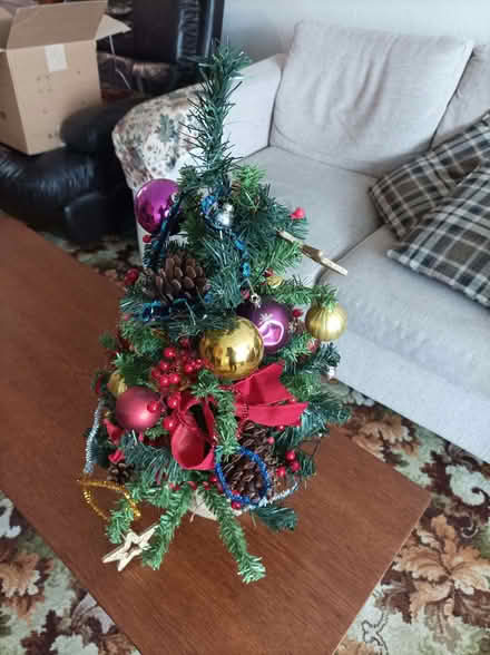 Photo of free Small Christmas tree (Seaside BN23) #1