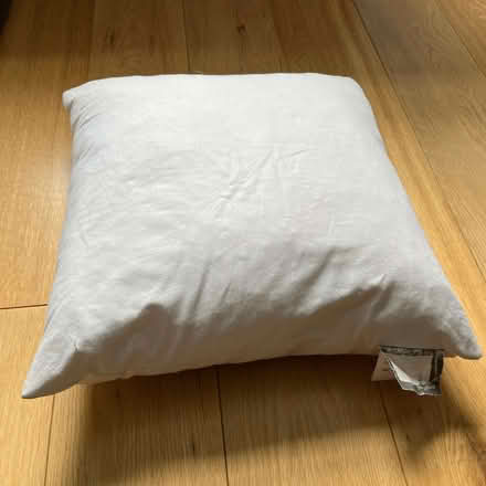 Photo of free Pair of duck feather cushion pads (Raynes Park SW20) #2